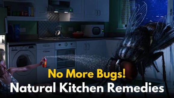 No More Bugs! Try These Easy Kitchen Remedies