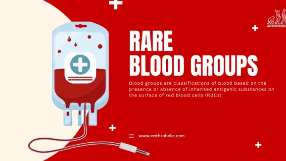 What are Rare Blood Types Found in India