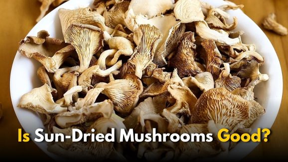 Why Should You Sun-Dry Mushrooms Before Cooking?