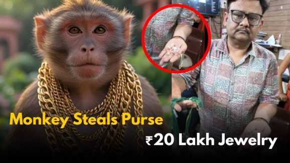 Monkey Steals Purse With ₹20 Lakh Jewelry in Vrindavan