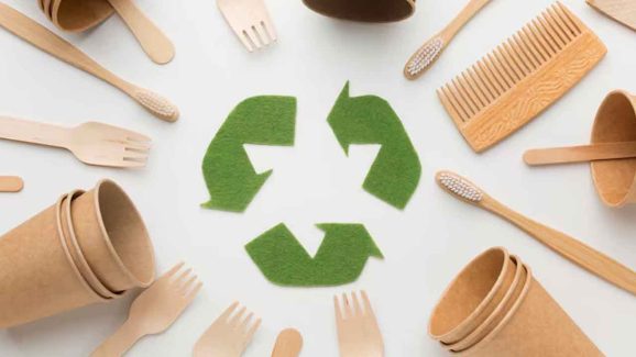 The Rise of Biodegradable Plastics: Are They Truly Sustainable?