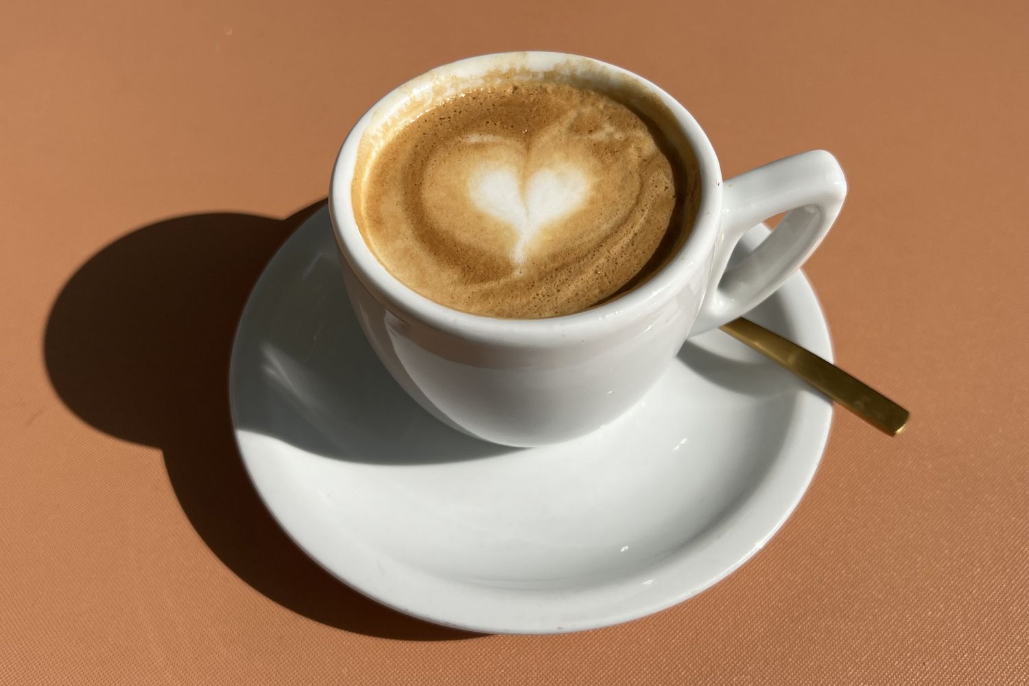 Daily Coffee May Add Years to Your Life and Health