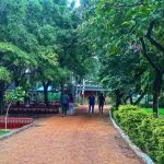 Hyderabad Weekend Guide: Must-Visit Gardens Filled with Flower