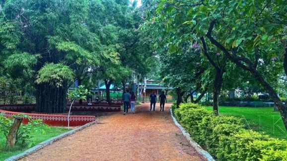 Hyderabad Weekend Guide: Must-Visit Gardens Filled with Flower