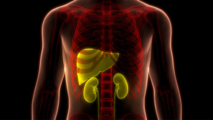 Liver and Kidney Health: Top 6 Must-Eat Fruits for Natural Detox