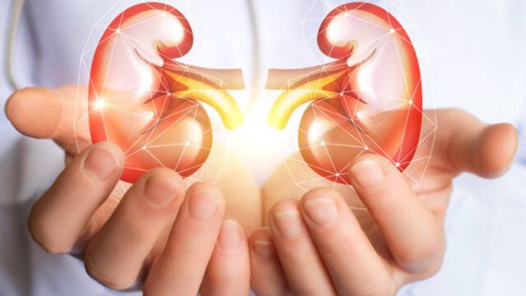 Kidney Problem Symptoms: Simple Signs You Should Not Ignore