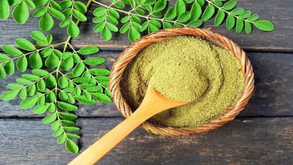 Moringa Daily Intake: Why 7 Grams a Day Can Be a Game-Changer