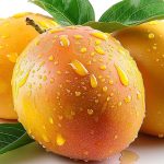 7 Most Expensive Mango Varieties in the World