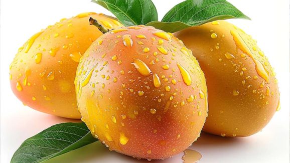 7 Most Expensive Mango Varieties in the World
