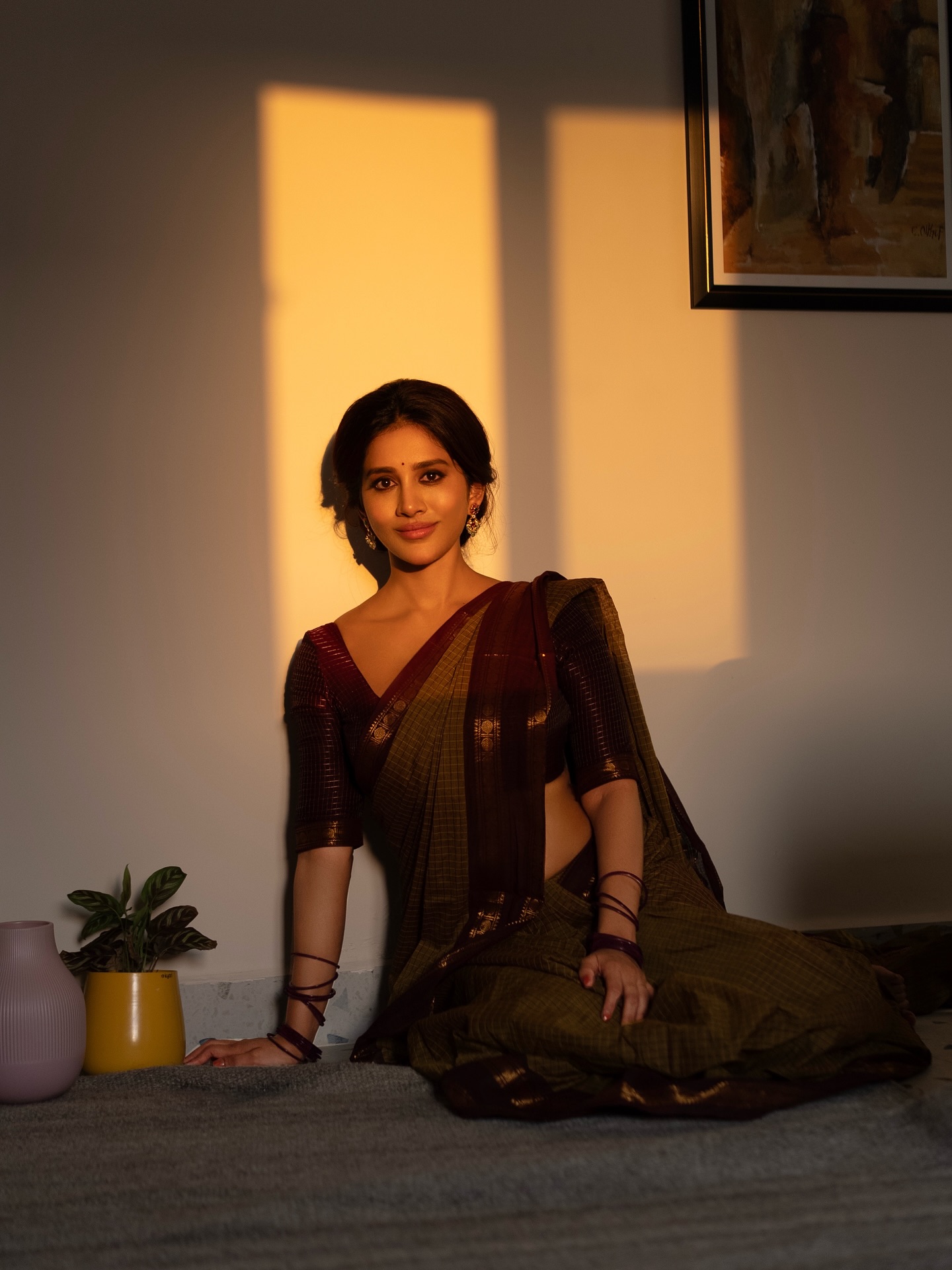 Nabha Natesh’s Saree Look Goes Viral: Fans Can't Get Enough