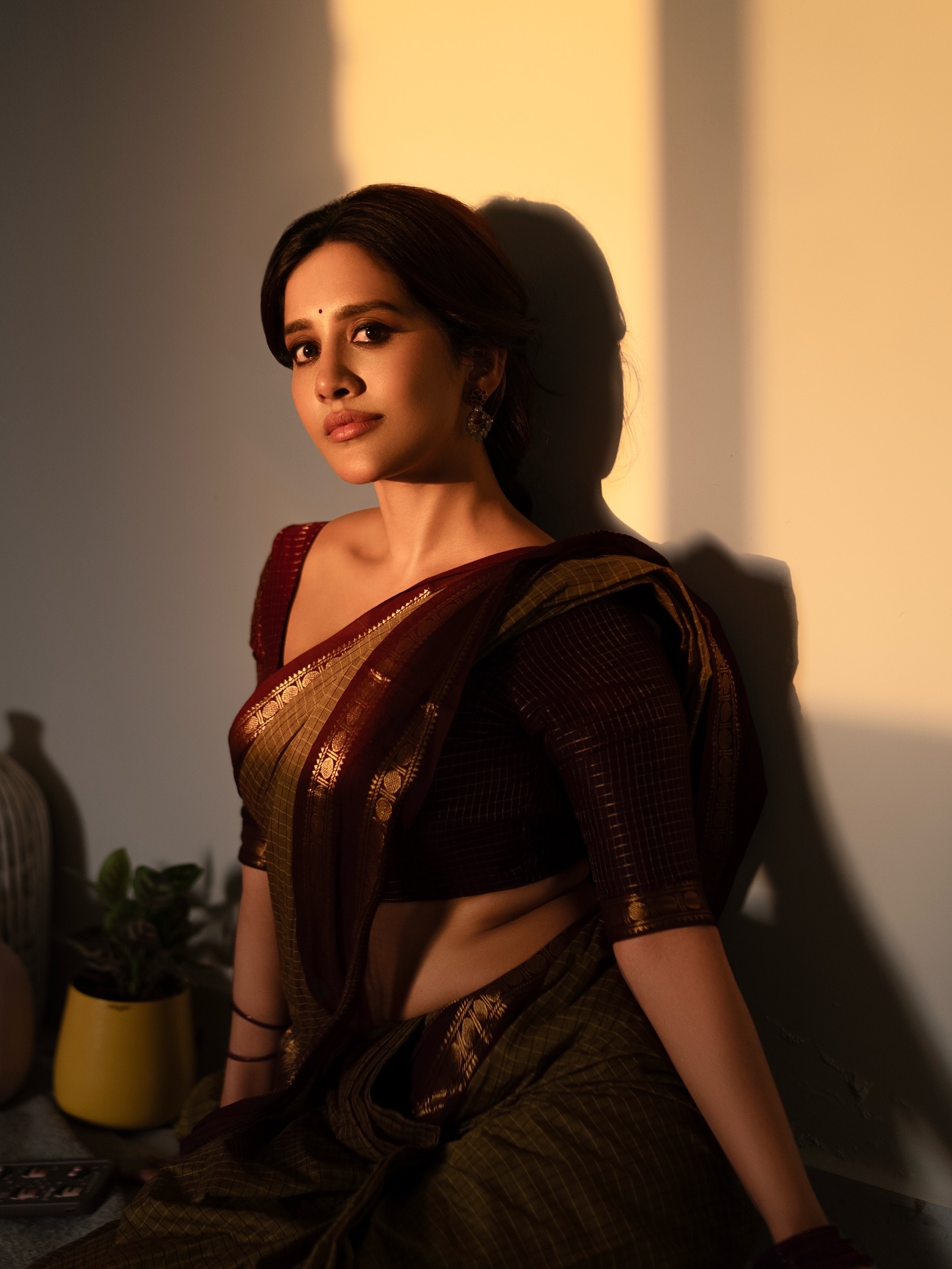 Nabha Natesh’s Saree Look Goes Viral: Fans Can't Get Enough