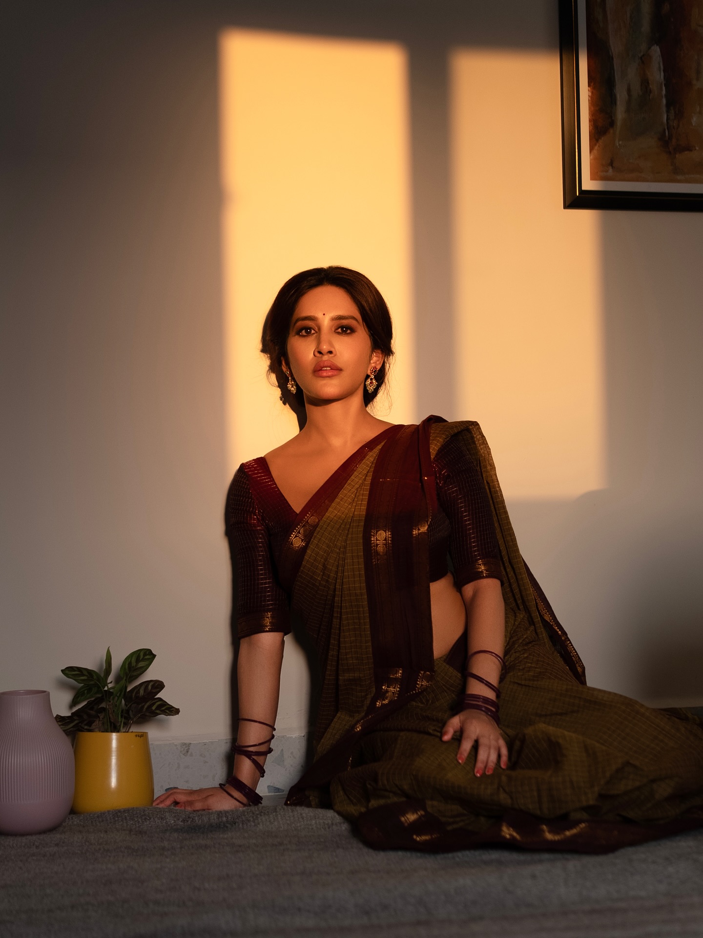 Nabha Natesh’s Saree Look Goes Viral: Fans Can't Get Enough