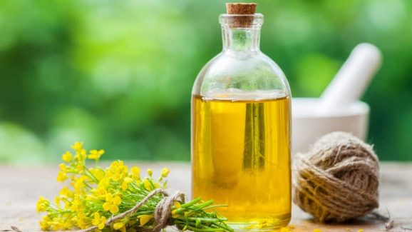 Best 5 Oils for Indian Cooking Backed by Science