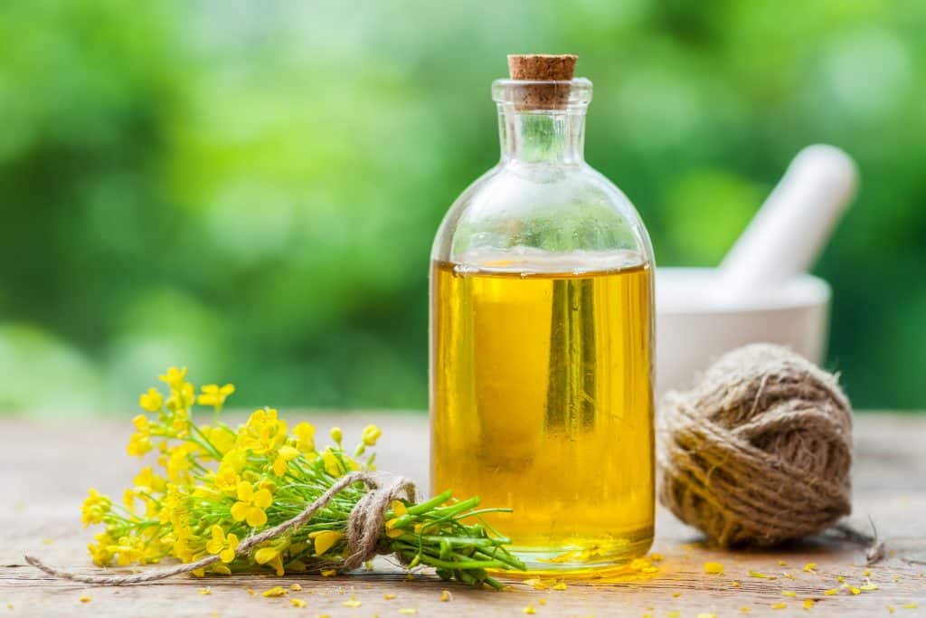 Best 5 Oils for Indian Cooking Backed by Science