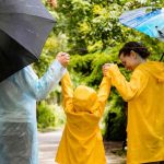 Hyderabad Rain Alert: IMD Predicts Heavy Showers with Storms All Week