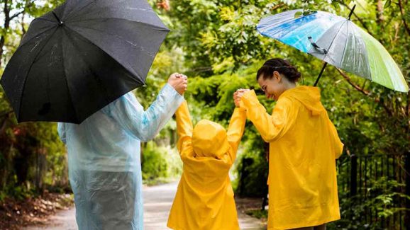 Hyderabad Rain Alert: IMD Predicts Heavy Showers with Storms All Week