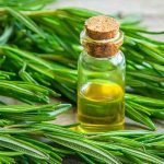 How to Prepare Rosemary Oil That Does Magic for Hair: Easy Steps