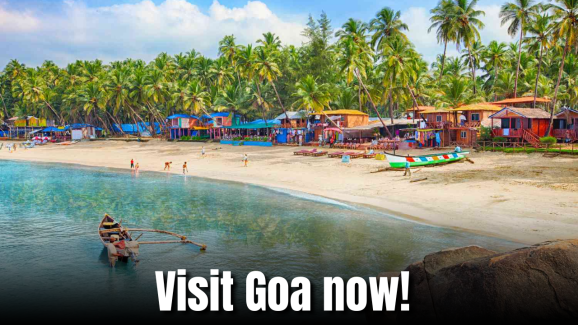 Why This Is the Ideal Season to Visit Goa