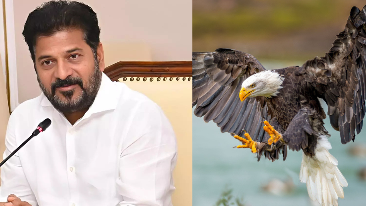 What Is the ‘Eagle System’ Launched by Telangana CM Revanth Reddy?