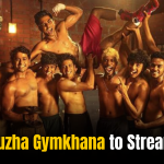 Malayalam OTT: Alappuzha Gymkhana to Stream on?