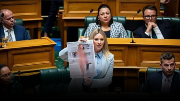 Female MP Displays Her Nude Photos in Parliament: Here’s Why