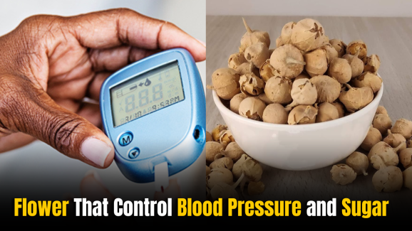 Flowers That Control BP and Sugar: Nutritionist Reveals
