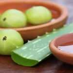 Amla vs Aloe Vera: Which Superfood Really Promotes Hair Growth?