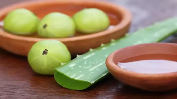 Amla vs Aloe Vera: Which Superfood Really Promotes Hair Growth?