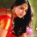 DYK Trisha Scored a Hit with Anushka Shetty Rejected Movie