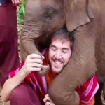 How Cute! Baby Elephant Hugs Humans With Pure Love In Viral Video