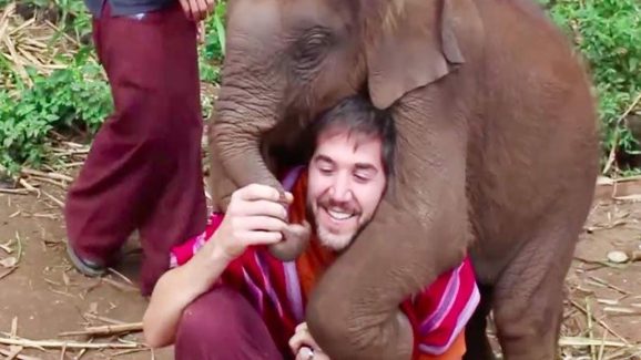 How Cute! Baby Elephant Hugs Humans With Pure Love In Viral Video