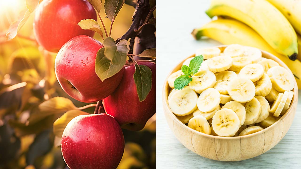 Banana vs Apple: Which Fruit Should You Eat Every Day?