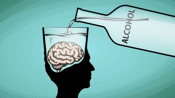 Can Alcohol Shrink Your Brain? New Research Delivers Sobering Truth