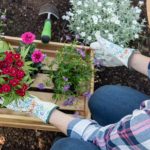 Effective Tips to Help Your Plants Flower Better