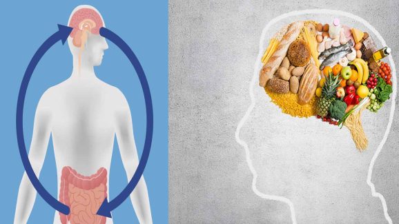 It All Starts In The Gut: Your Digestive Health Controls Mood And Energy