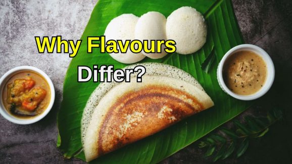 The Regional Twist: Why Taste Of Idlis And Dosas Change Across South Indian Cities