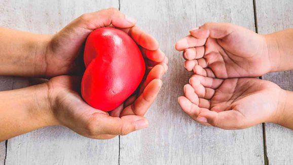 Top 7 Myths About Organ Donation You Should Stop Believing