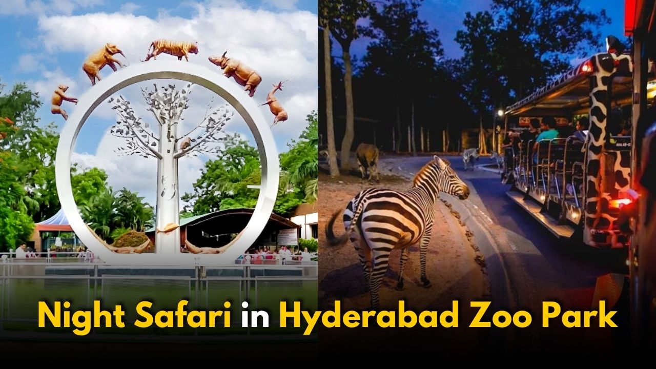 Hyderabad Zoo Park to Start Night Safari: Revised Entry Fees