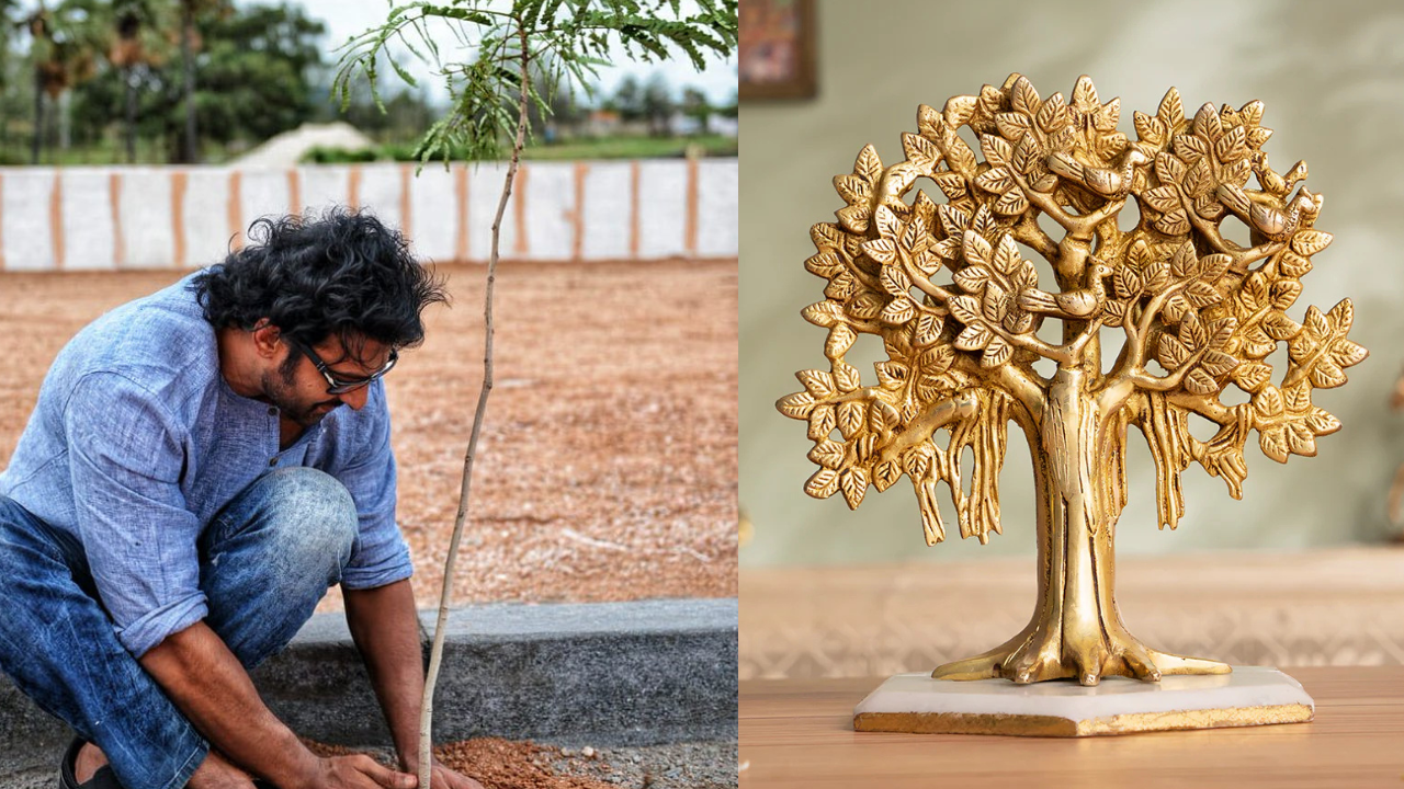 Prabhas Spends 1 Crore on a Tree