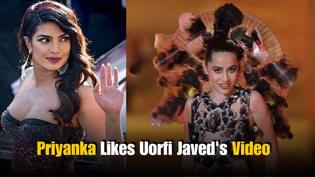 Priyanka Chopra Reacts to Uorfi Javed’s Viral Outfit Clash Video