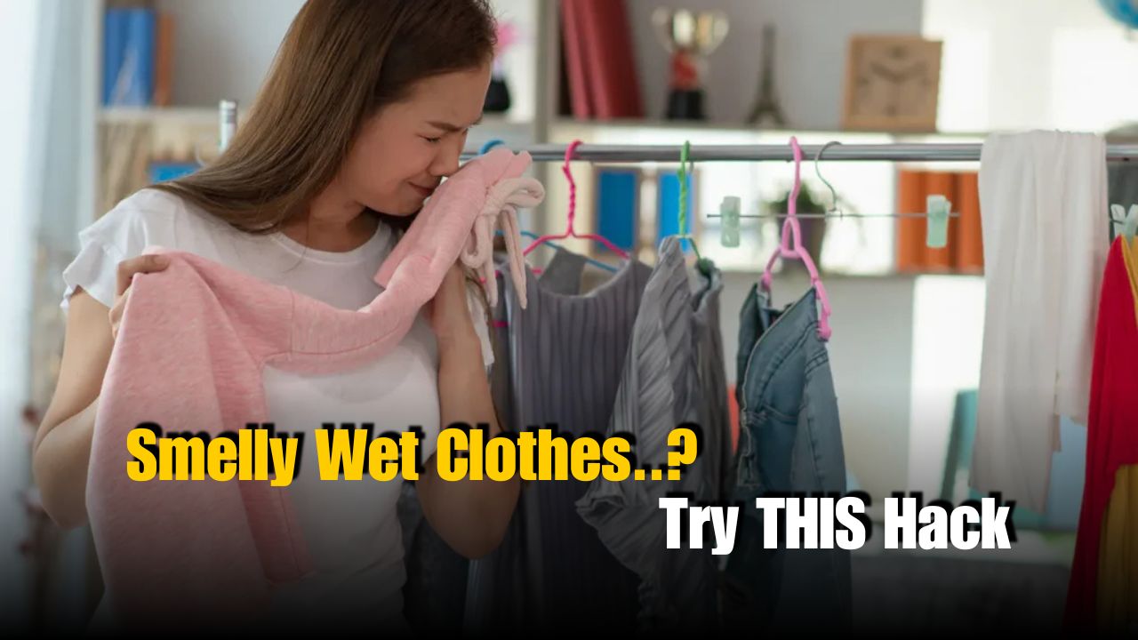 How to Stop Wet Clothes from Smelling in Rainy Season
