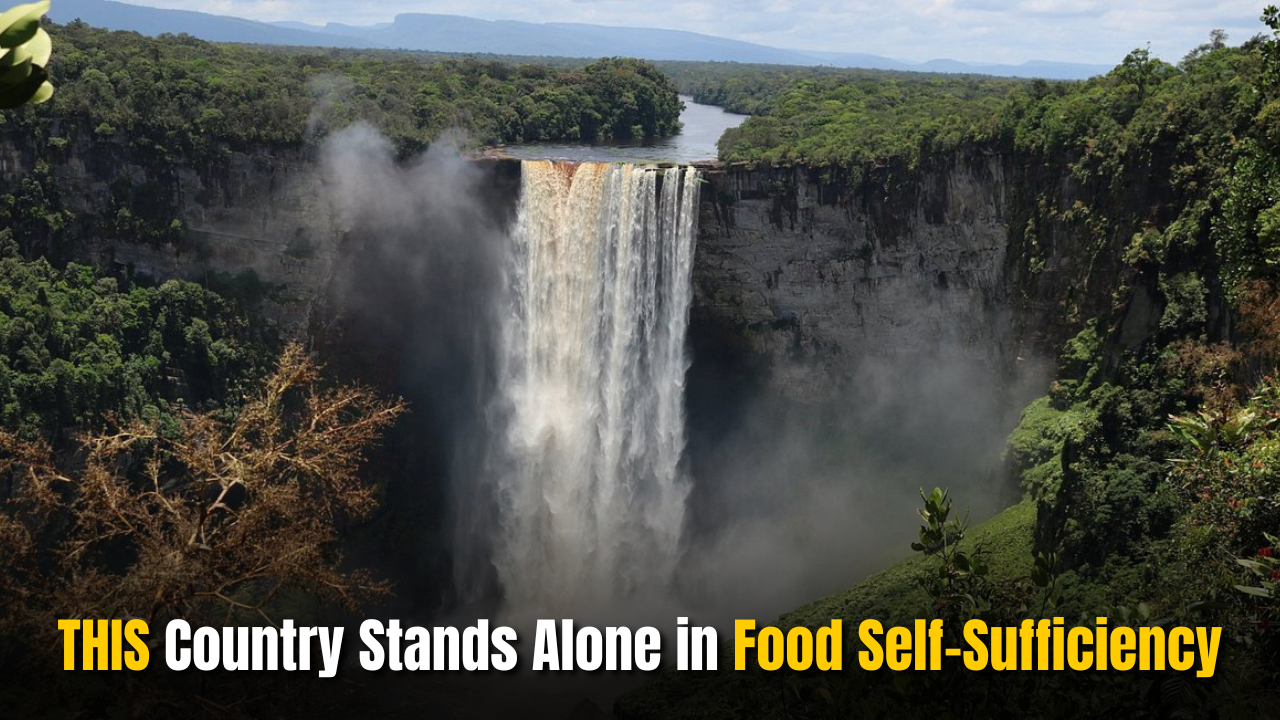 THIS Country Stands Alone in Food Self-Sufficiency, Says Study- Not China or Japan