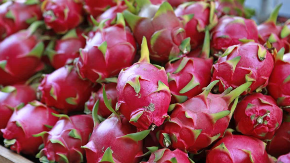 The Amazing Health Benefits of Eating Dragon Fruit