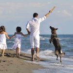 Top 5 Pet-Friendly Weekend Getaways the Whole Family Will Love