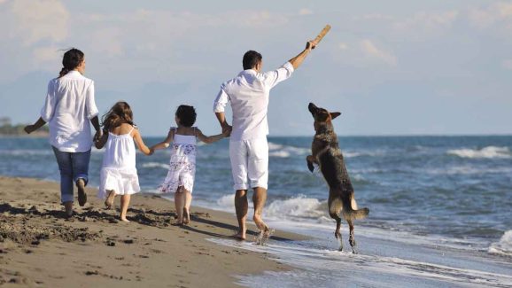 Top 5 Pet-Friendly Weekend Getaways the Whole Family Will Love