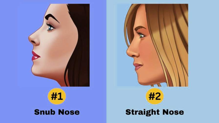 What Your Nose shape Says About Your Personality: Find Out Here