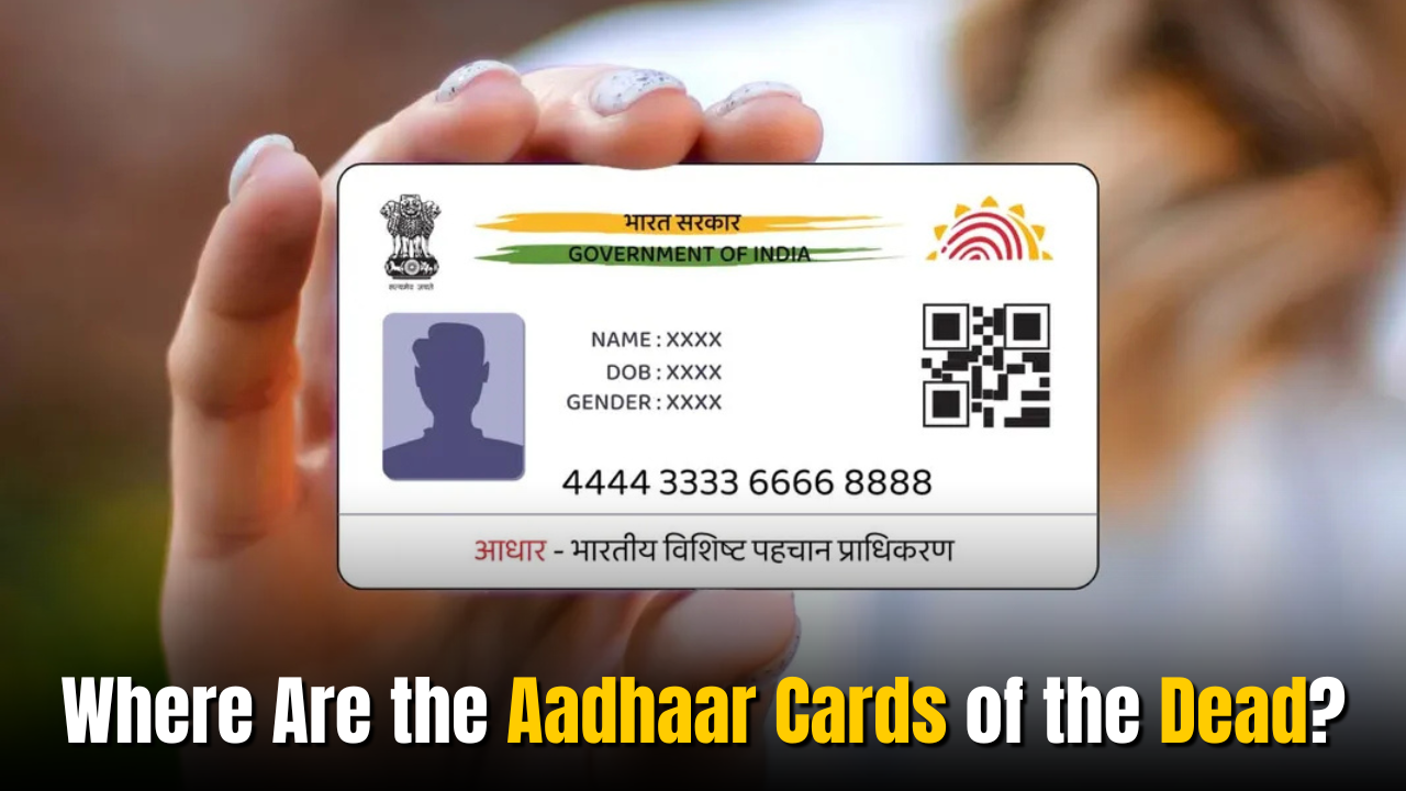 Where Are the Aadhaar Cards of the Dead? Only 1.15 Crore Deactivated in 14 Years