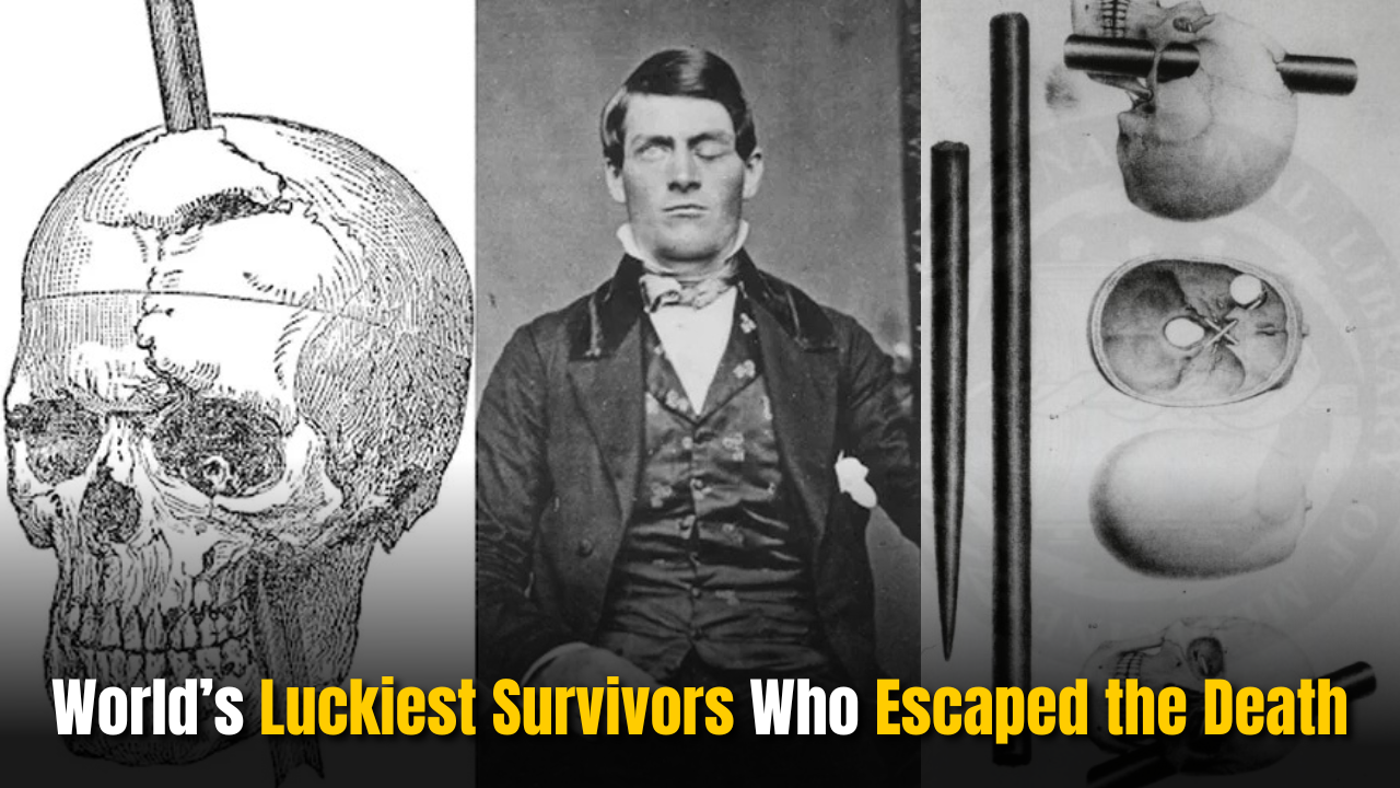The World’s Luckiest Survivors Who Escaped the Death