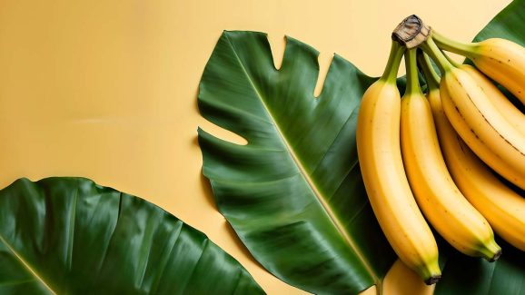 Are Banana Leaves Edible? 7 Key Health Benefits To Know