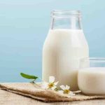 Cow Milk vs Buffalo Milk: Which Is Better for You?